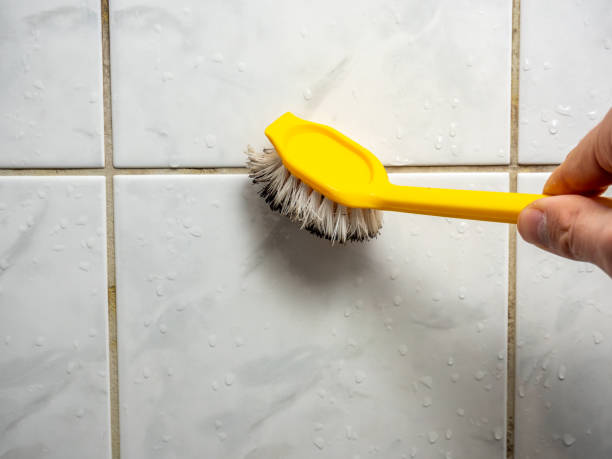 Trusted Weatherford, TX Mold Remediation Experts