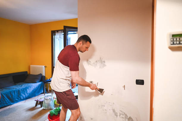 Best Mold Remediation for Specific Building Types in Weatherford, TX