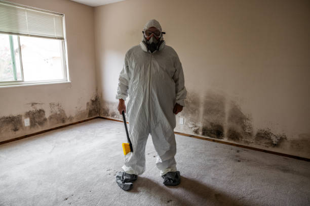 Best Bathroom Mold Remediation in Weatherford, TX
