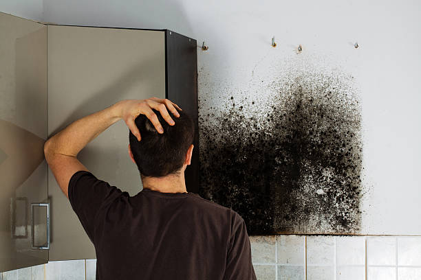 Best Emergency Mold Remediation in Weatherford, TX